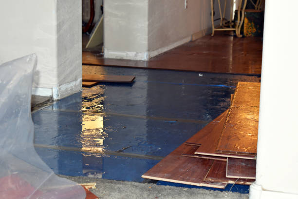Professional Basement Water Removal technician working in Bellevue, OH