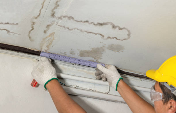 Reliable Basement Water Removal contractor in Bellevue, OH by Water Damage Irwin